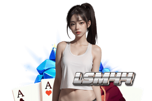 lsm44 ทางเข้า